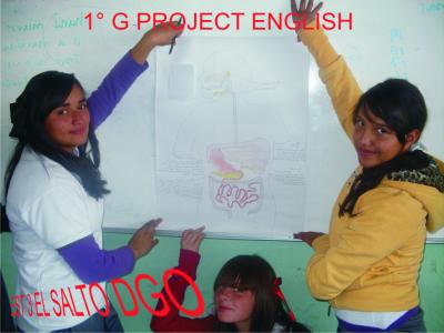 PROJECT UNIT 3 1° G